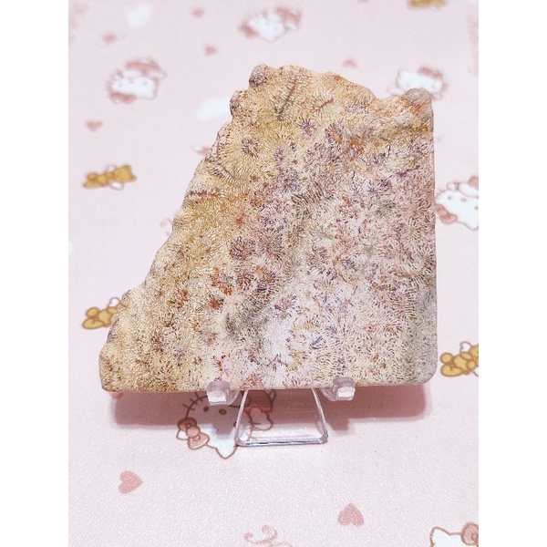 sphappysp保留至4/4)珊瑚玉原礦片料-第15款(粉黃色鳳尾紋, 約65.8*69.5 