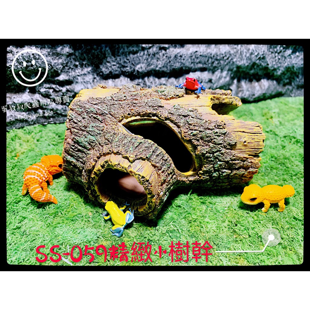 蛋叔叔 Ss 059精緻小樹幹 守宮洞 守宮屋 洞穴 造景 樹洞 多肉植物 劍毒蛙 蝦皮購物