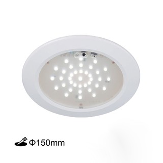 【舞光.LED】LED 緊急照明崁燈(崁孔15cm)(白光)【實體門市保固兩年】LED-28001R1