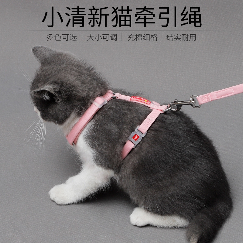 愛寵格格 貓咪工字牽引帶素色耐髒貓咪小清新貓用胸背牽引繩耐磨貓繩插扣胸背防掙脫英短布偶貓波斯貓橘貓胸背帶棉質舒適不勒