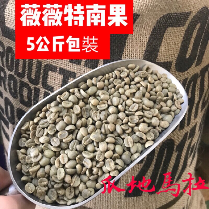❤️五公斤大包裝優惠活動 瓜地馬拉 薇薇特南果 咖啡生豆