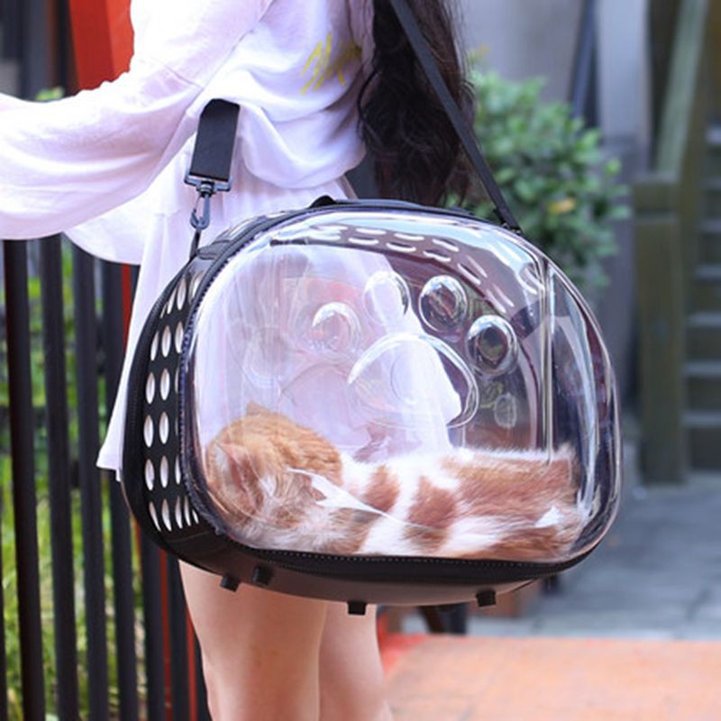 台灣現貨 免運 寵物外出包 外出提籠 太空包 寵物背包 貓包 透明包 寵物包 透明 透氣 寵物包