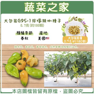 蔬菜之家滿額免運【00G95-1】大包裝.檸檬辣椒種子0.7克(約180顆)(辣味夠，香氣足，青果綠色，成熟果轉為檸檬奶