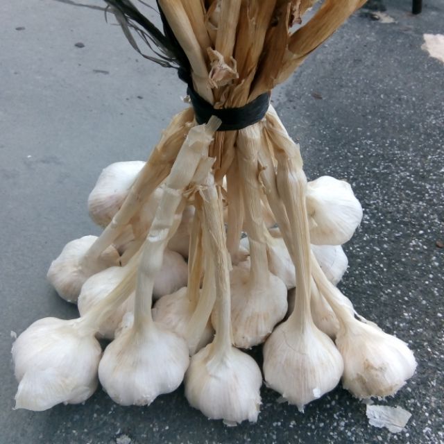 正港莿桐蒜頭 已晒乾囉 蝦皮購物