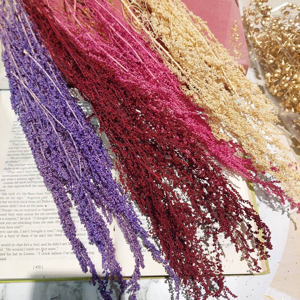 珍珠草銀膚草斯托貝 乾燥花 乾燥葉材 葉材配飾 拍攝拍照背景 捧花婚禮小物 居家佈置裝飾 Zakka乾燥花束 蝦皮購物