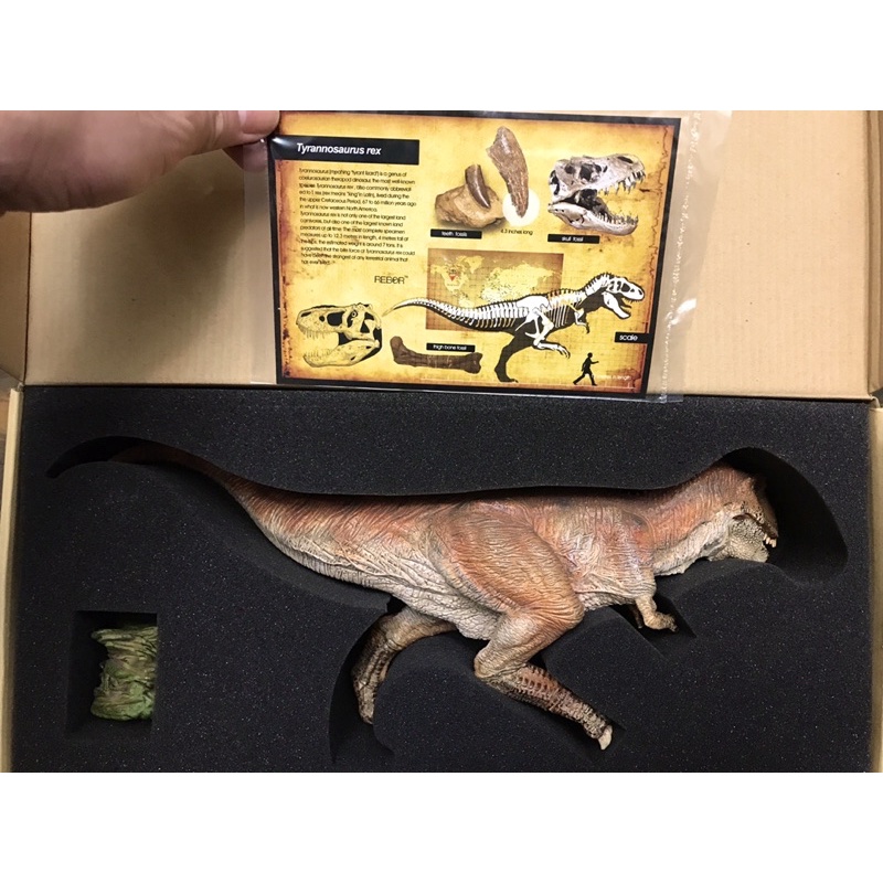 英國REBOR侏羅紀世界 恐龍模型玩具KING T-REX帝王暴龍霸王龍 現貨