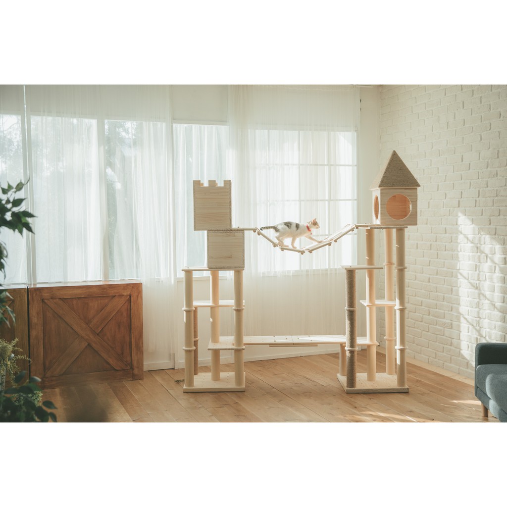 貓跳台xl Ptt Dcard討論與高評價網拍商品 2021年11月 飛比價格