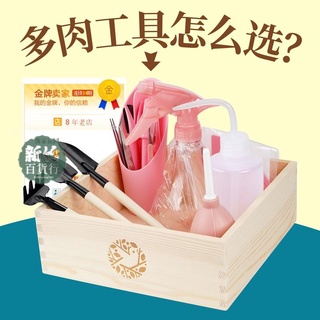 低價🏆多肉植物 種植工具 套裝種花養花肉肉多肉 家用 小鏟子 三件式