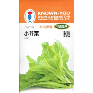 愛上種子 小芥菜 農友種苗特選蔬菜種子