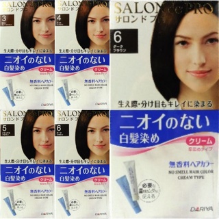 (日本公司貨)日本塔莉雅 DARIYA Salon de Pro 沙龍級染髮劑★白髮染 無味型☆甜蜜傢飾生活館☆╯
