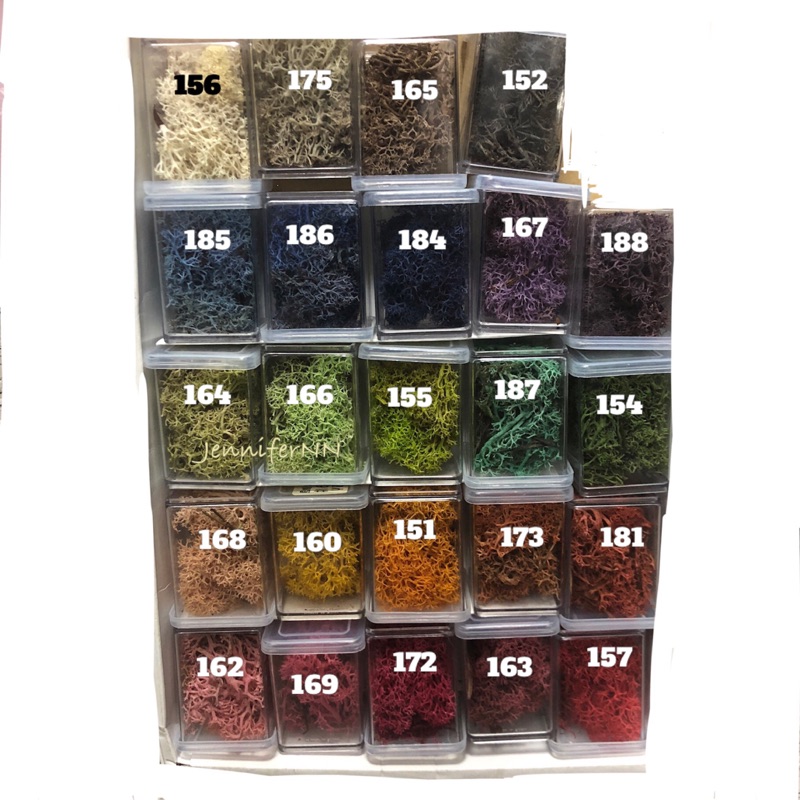 Jennifernn Moss水草馴鹿水草40g 花藝材料永生花乾燥花造景公仔模型挪威資材花藝 蝦皮購物