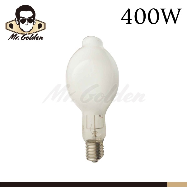 【購燈先生】附發票 大友照明 400W 水銀燈泡 E40燈座 HPM400 燈泡