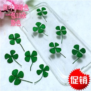 小店滿220出貨 四葉草標本 幸運草滴膠乾花DIY手工花材乾花標本押花材料天然真花