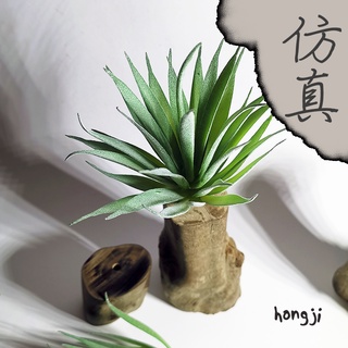 多肉 模擬多肉 P46 假多肉植物 微景觀 辦公室小物生日禮物拍照道具居家裝飾咖啡屋商店擺飾迷你木頭底座盆栽