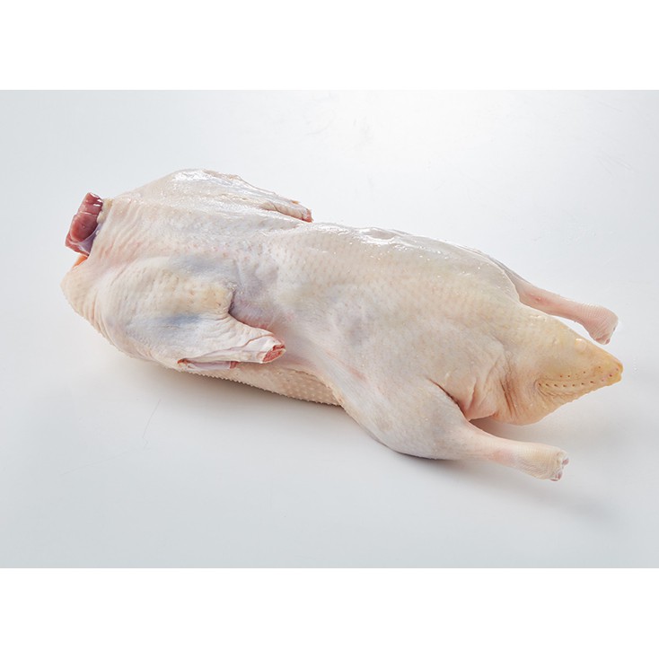 天然鴨館 太空鴨 重量約2公斤 蝦皮購物