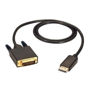 i-wiz 高畫質 Displayport 轉 DVI 影像轉換線 1.8米