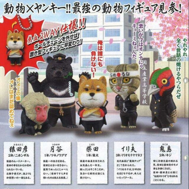 T Arts 動物高校動物不良少年不良動物第一彈第二彈 蝦皮購物
