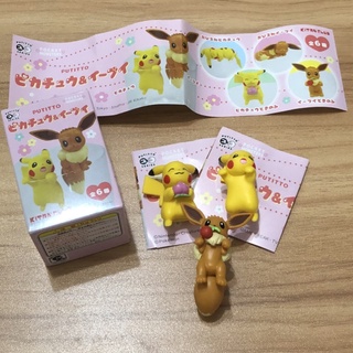 寶可夢 杯緣子 扭蛋 盒玩 公仔 皮卡丘 伊布 傑尼龜 神奇寶貝 蛋黃哥 啦啦熊 日本帶回