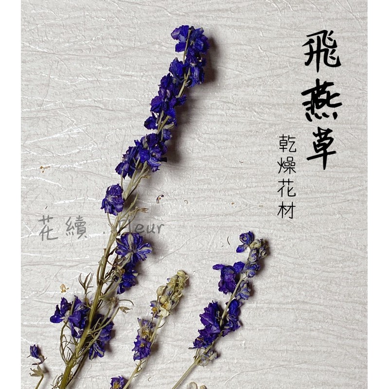 花續千鳥草 乾燥飛燕草 乾燥花 蝦皮購物