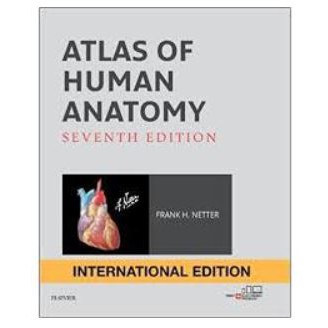 Atlas of Human Anatomy (IE) Netter