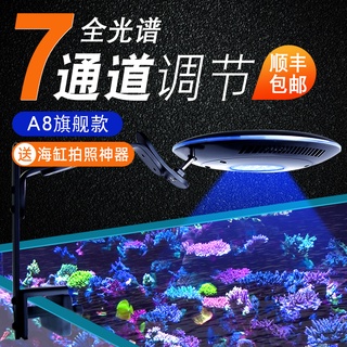 積光 優惠推薦 22年10月 蝦皮購物台灣