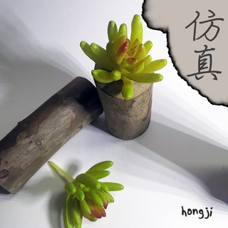 多肉 模擬多肉 微景觀 P26 假多肉植物 辦公室小物 療癒紓壓生日禮物拍照道具居家裝飾咖啡屋商店擺飾迷你木頭底座盆栽