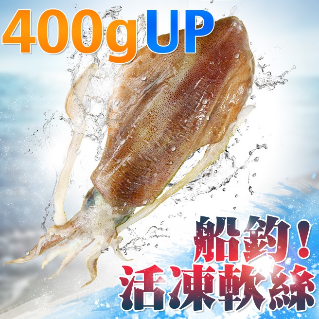 南海豐【船釣！活凍軟絲】400-500g/尾 活體急凍鮮美透亮，厚實Q彈甜美，海鮮食材宅配