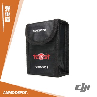 【彈藥庫】SUNNYLIFE DJI Mavic Pro Mavic2 電池收納包 M2-DC273