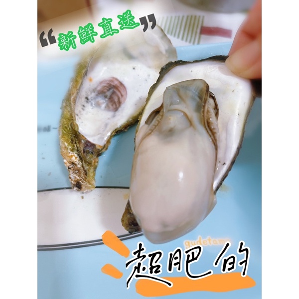 帶殼蚵仔 優惠推薦 21年10月 蝦皮購物台灣