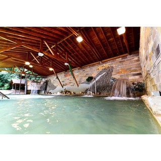 南投廬山溫泉 正揚溫泉渡假飯店大眾池泡湯 一個人價格 蝦皮購物