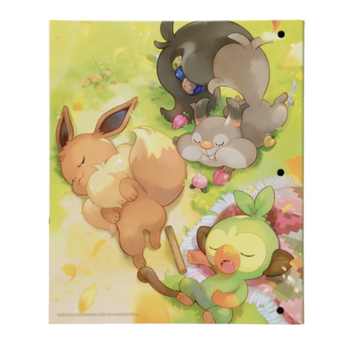 ✨日本現貨✨寶可夢中心 最新卡冊 限量販售 日本 代購 皮卡丘 寶可夢 Pokémon