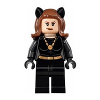 【🐶狗在一塊🐶】樂高 Lego 76052 蝙蝠俠系列 電視版 貓女