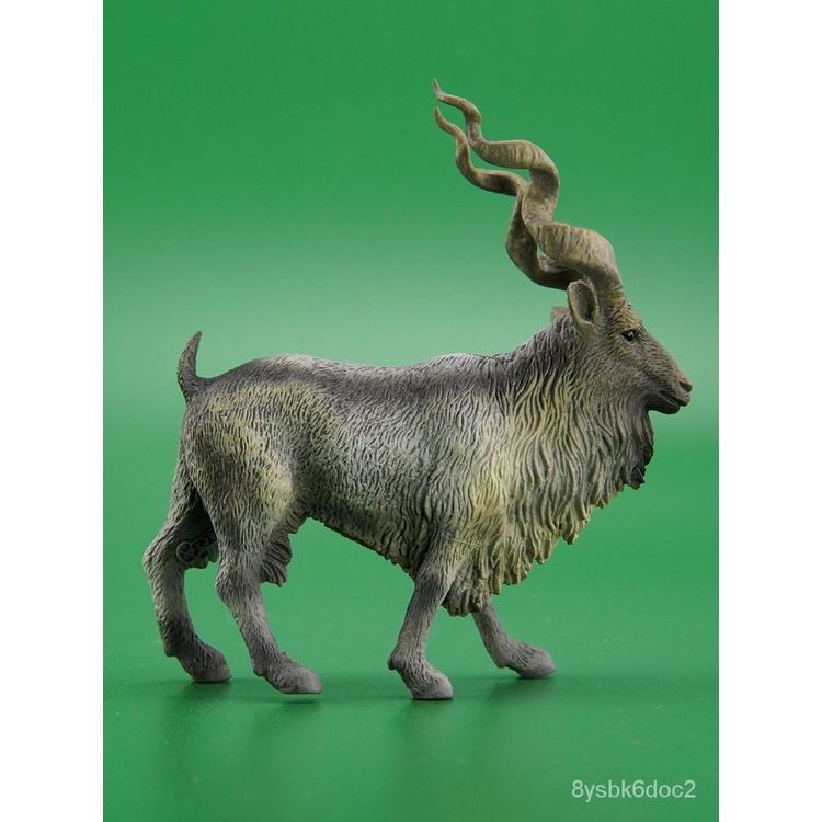 Hot Sale 動物認知英國collecta捻角山羊仿真模型玩具兒童早教具擺件靜態boutique 蝦皮購物