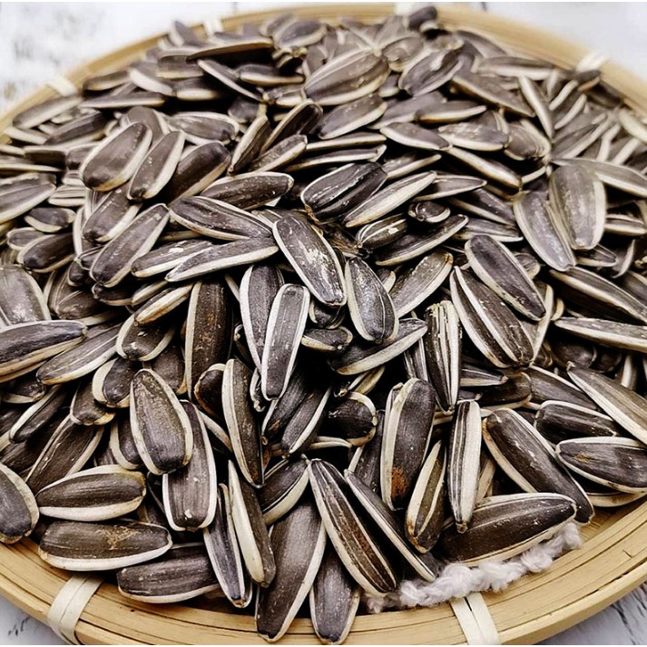 <五寶松鼠堅果雜貨鋪>大顆飽滿生葵瓜子*松鼠/飛鼠/大赤鼯鼠/鸚鵡零食*
