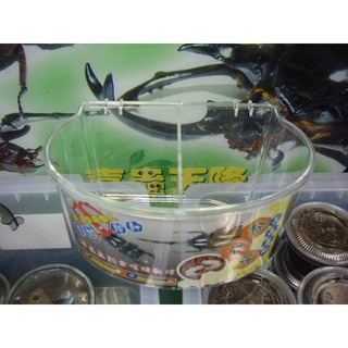 【喜蟲天降】獨角仙.鍬形蟲.金龜.甲蟲【防果蠅】高階貝殼飼養箱(宅配限定)