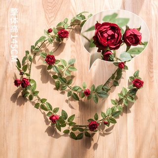 青蔡雜貨鋪掬涵安格斯纏繞玫瑰藤蔓仿真花藤月薔薇墻面垂吊花藝造景裝 蝦皮購物