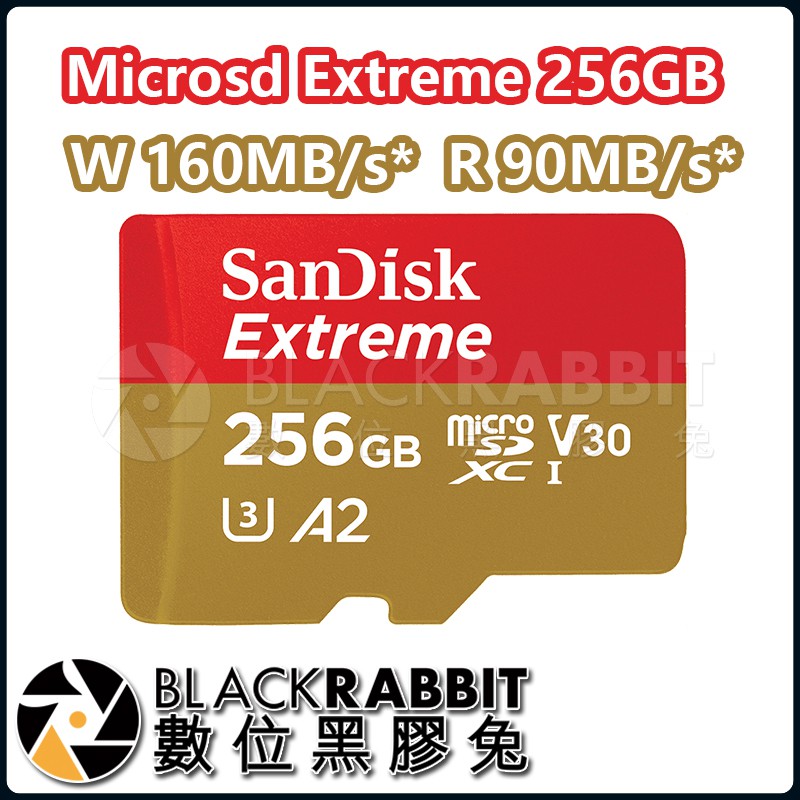 【 SanDisk micro SD 記憶卡 256GB 】數位黑膠兔