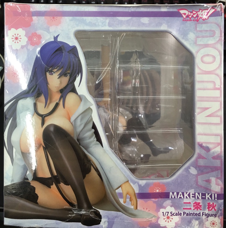 備份盒出價賣 中盒美女公仔二条秋可脫orchidseed 魔劍姬二條秋成人 蝦皮購物