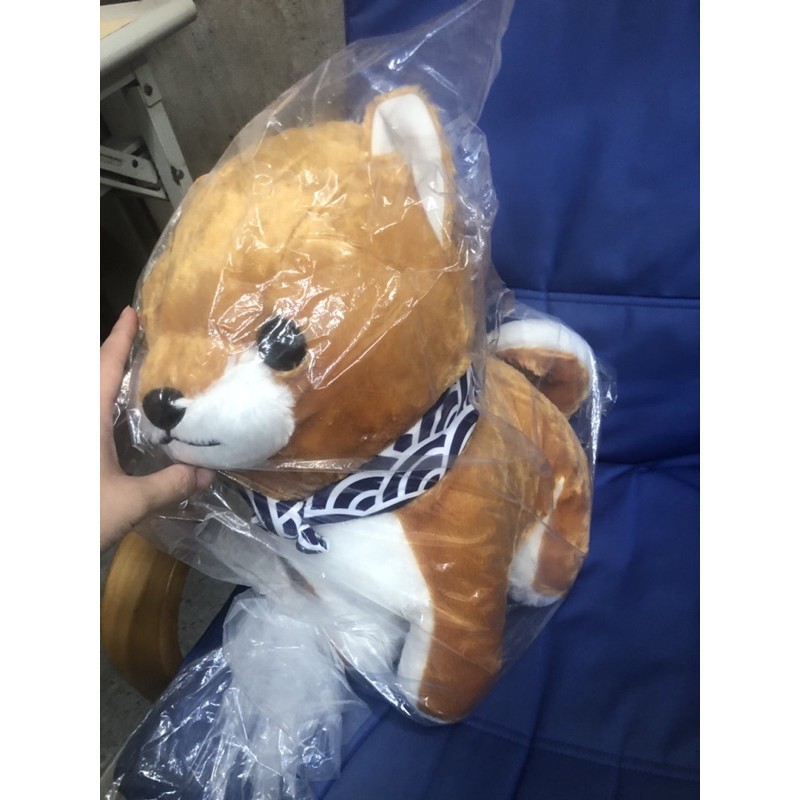 日本正版授權 巨大 豆柴三兄弟 娃娃 AMUSE 柴犬（約45cm)