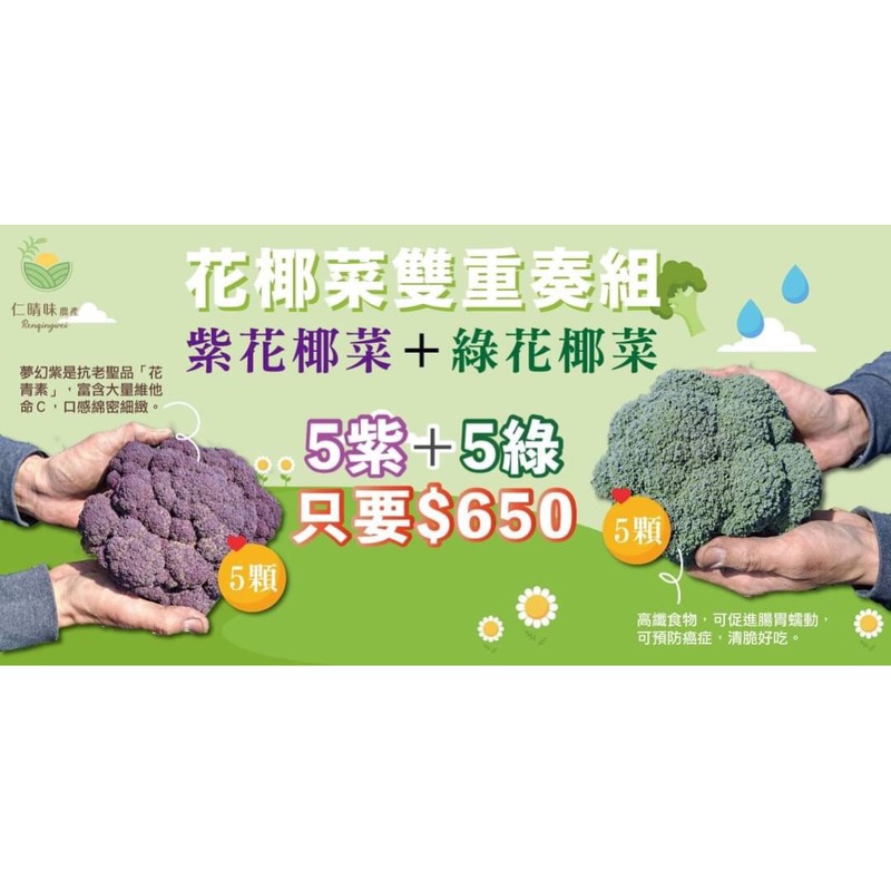 5顆紫色花椰菜 5顆綠色花椰菜 蝦皮購物