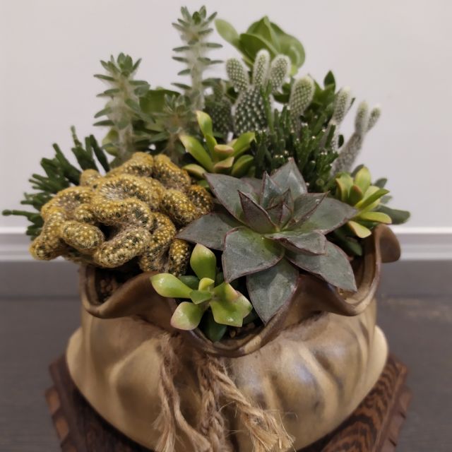 魔根蘿拂金福袋 福袋直徑16 16公分 蝦皮購物