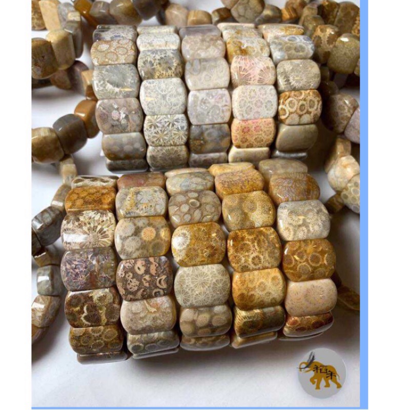 長方 天然珊瑚玉菊花石菊花玉珊瑚石 手排手環手鍊 蝦皮購物