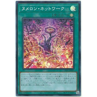 CP20-JP026 源數網路 (亮面)蝦7
