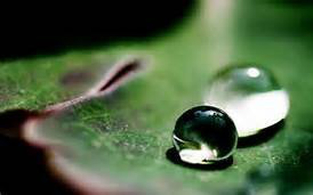 奈米墨水epson系列專用墨水250cc 黑 紅 黃 藍 原廠連續供墨印表機 補充墨水 填充墨水 填充墨水匣 蝦皮購物