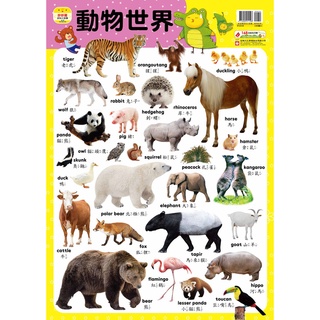 幼福文化 妙妙雞認知小掛圖 動物世界 9123-8 動物海報 幼兒園海報 教室佈置海報 動物掛圖