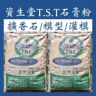 資生堂 TST 石膏粉 擴香石 Gypsum 模型 灌模 翻模 陶瓷 燭臺 擴香石 模具 香薰 資生堂石膏