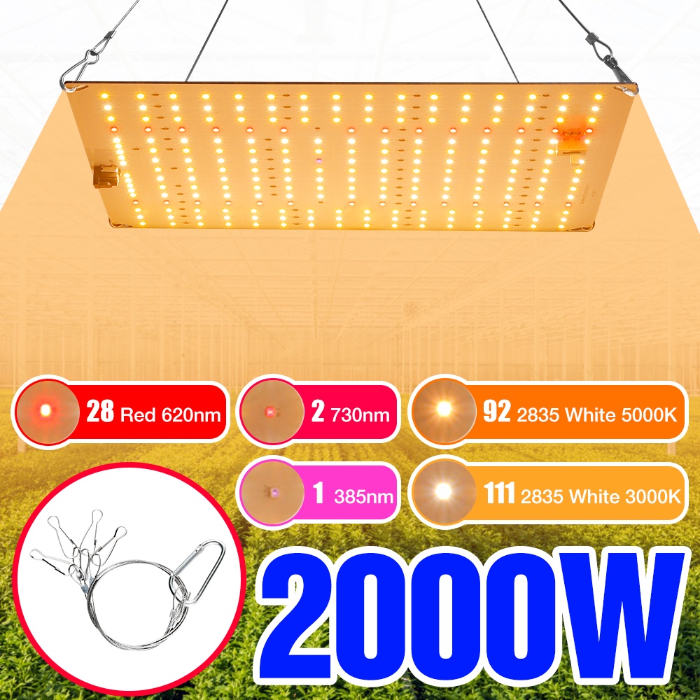 LED量子板全光譜植物生長燈多肉2000W種植燈園藝110V面板燈水培育220V水果種子栽培