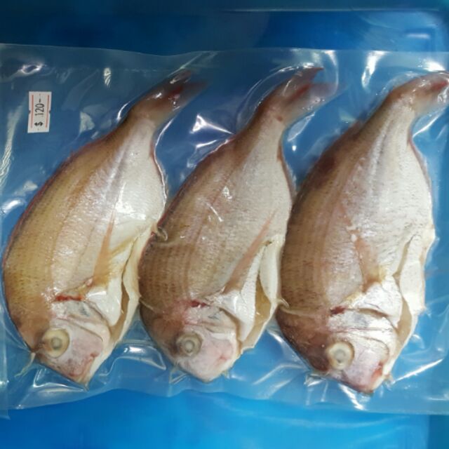 澎湖野生盤仔魚