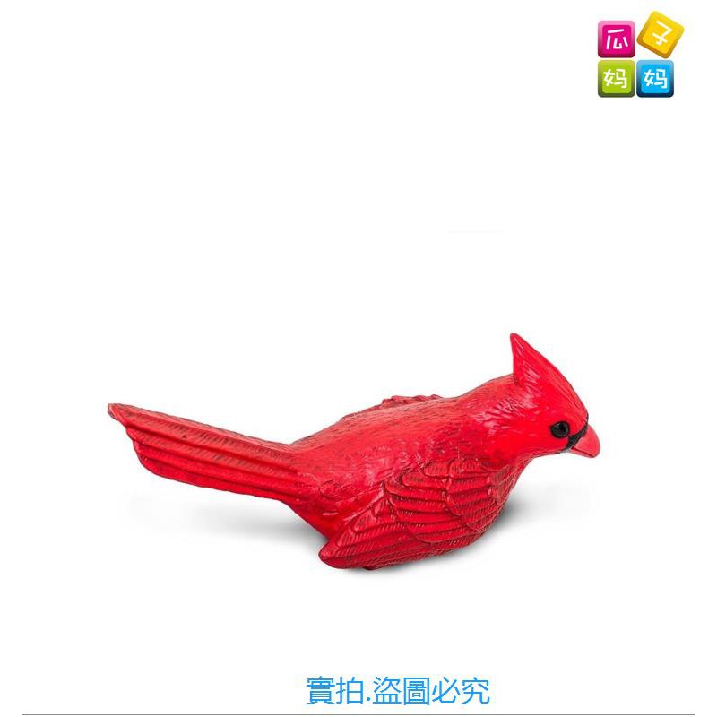 熱銷 Safar奇跡系列紅衣鳳頭鳥紅雀仿真動物飛禽模型玩具 蝦皮購物