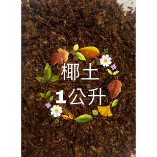 椰土100G 多肉植物專用 椰纖 椰糠 多肉